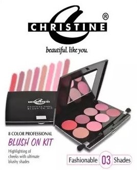 Professional Blush On Kit (3)